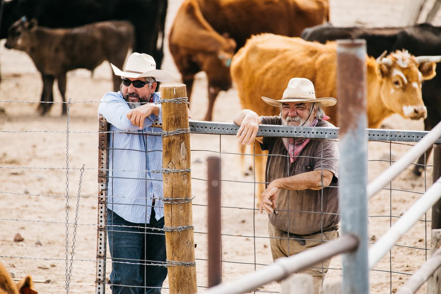 Public lands in Caja Del Rio offering accessible trails and stunning nature views for conservation-focused recreation.