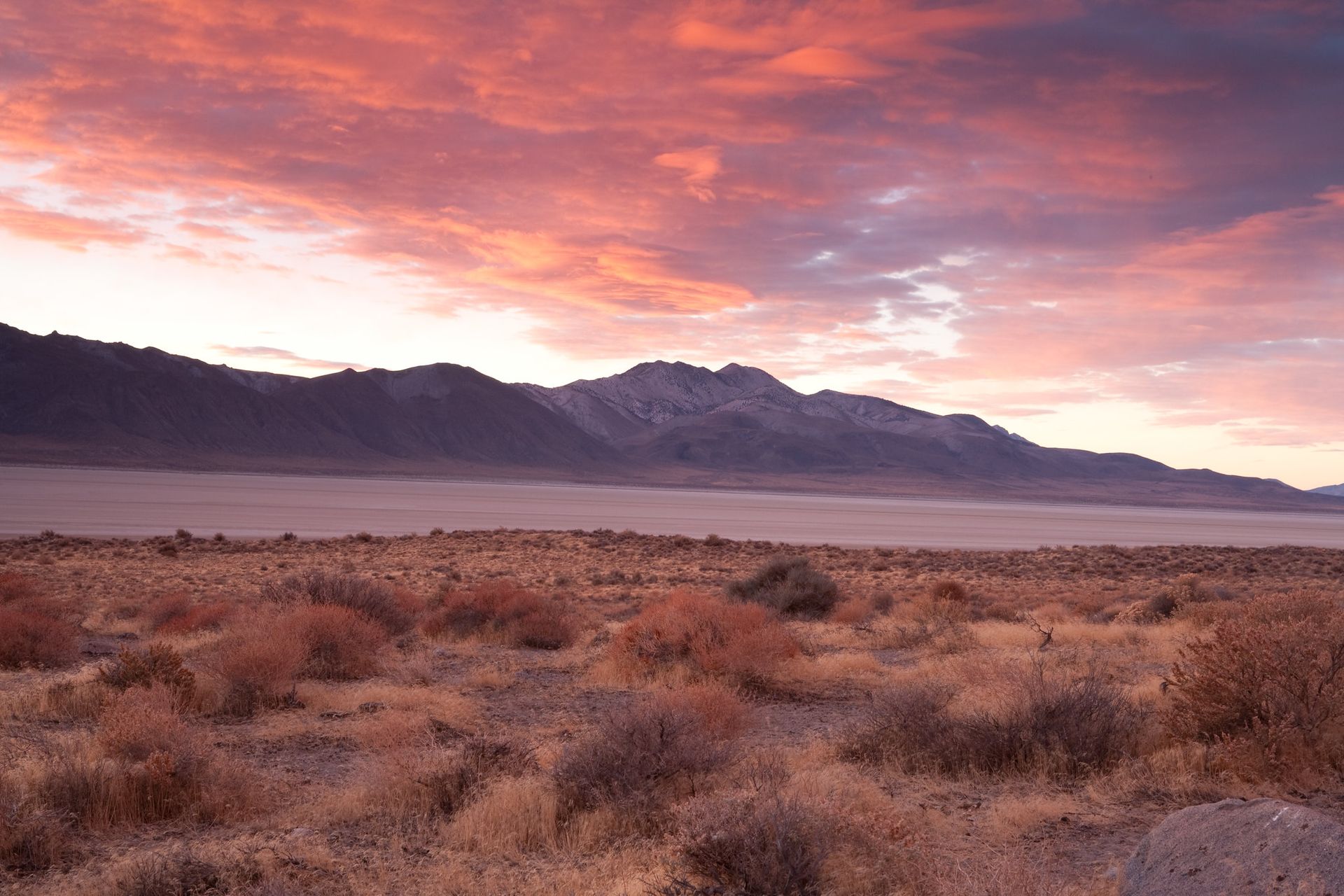 Sunset in Nevada desert
