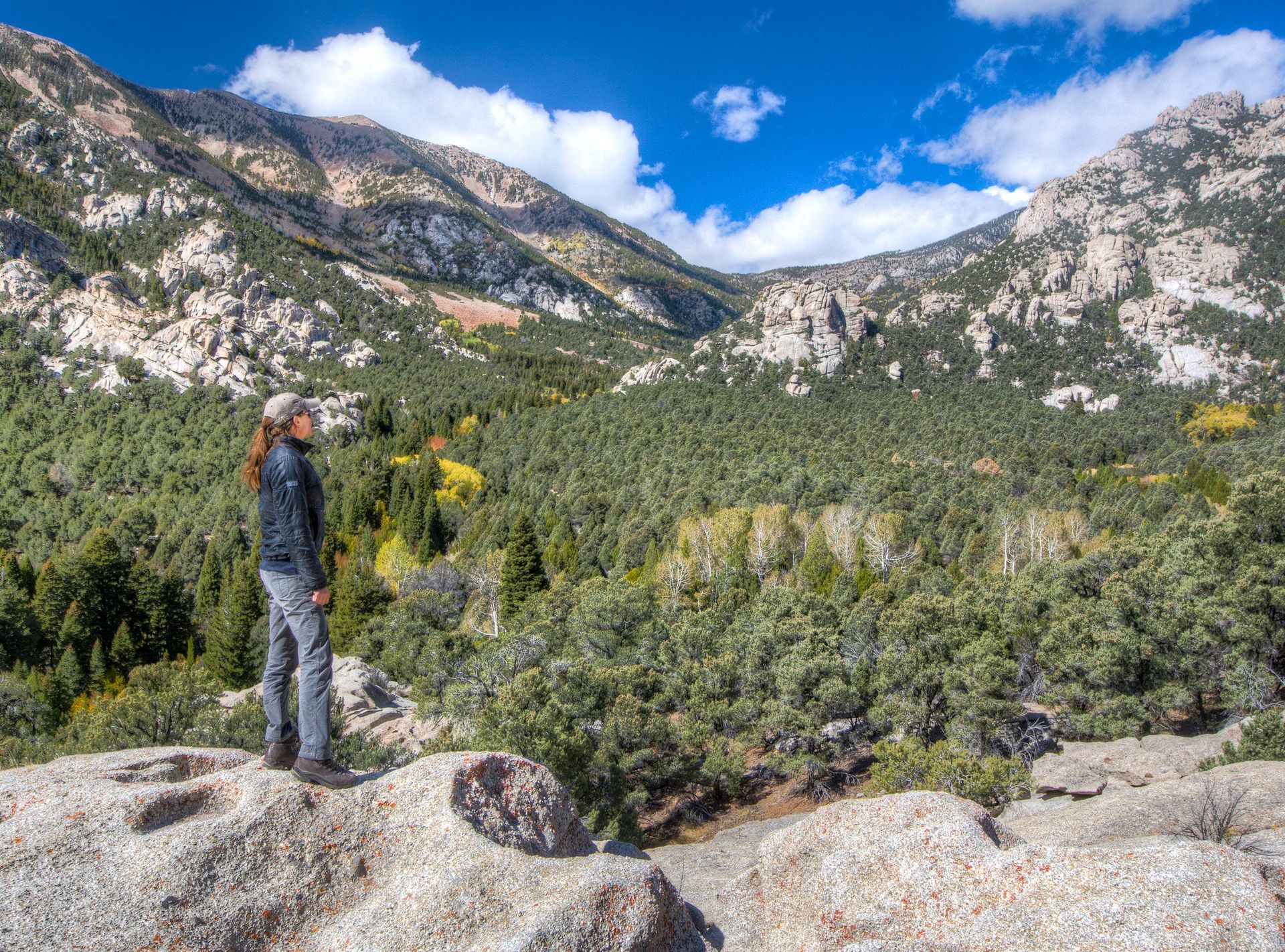 Person in a forested wilderness area