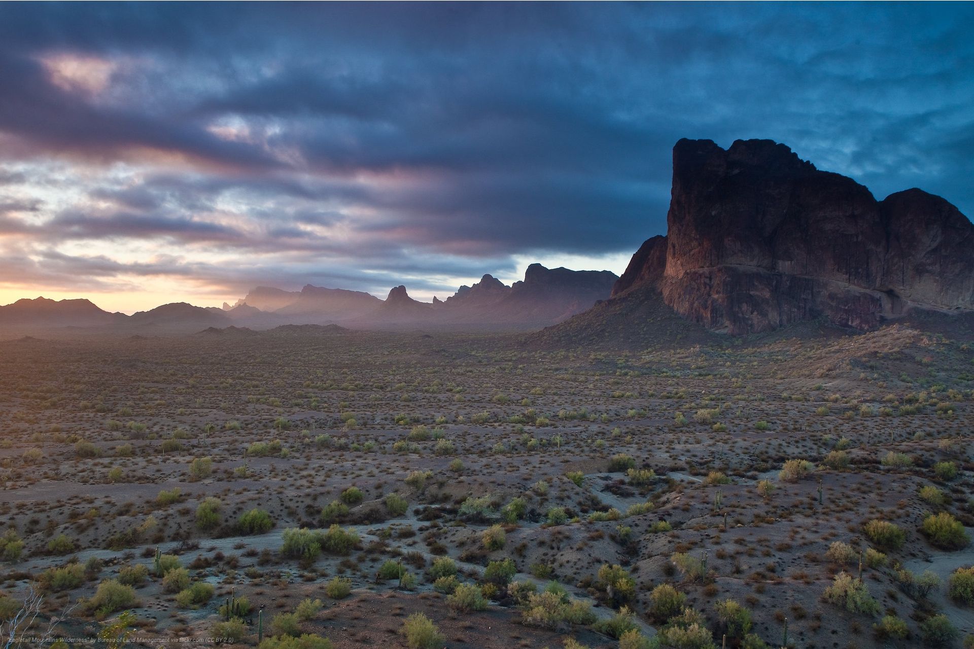 Desert
