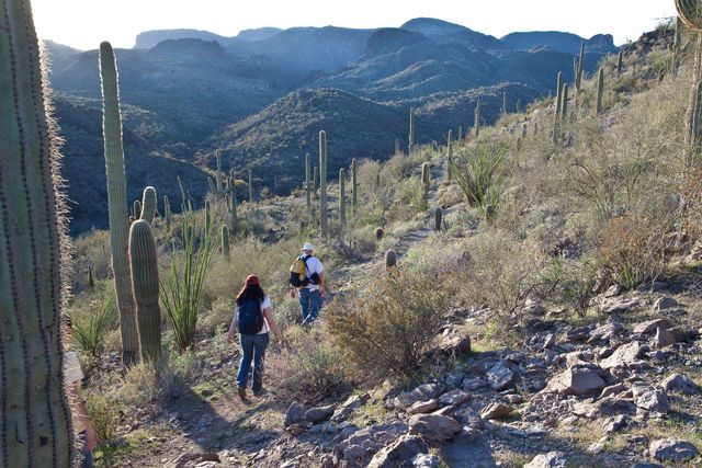 Hikers in desert landscape