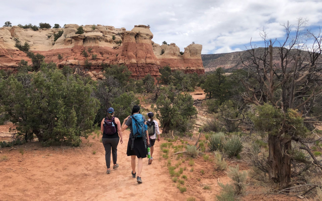 Hikers in desert landscape
