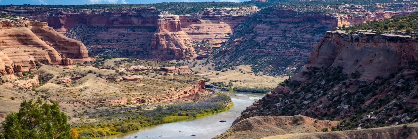 Native wildlife thriving in federally protected areas, supporting ongoing efforts in wildlife conservation and environmental protection.