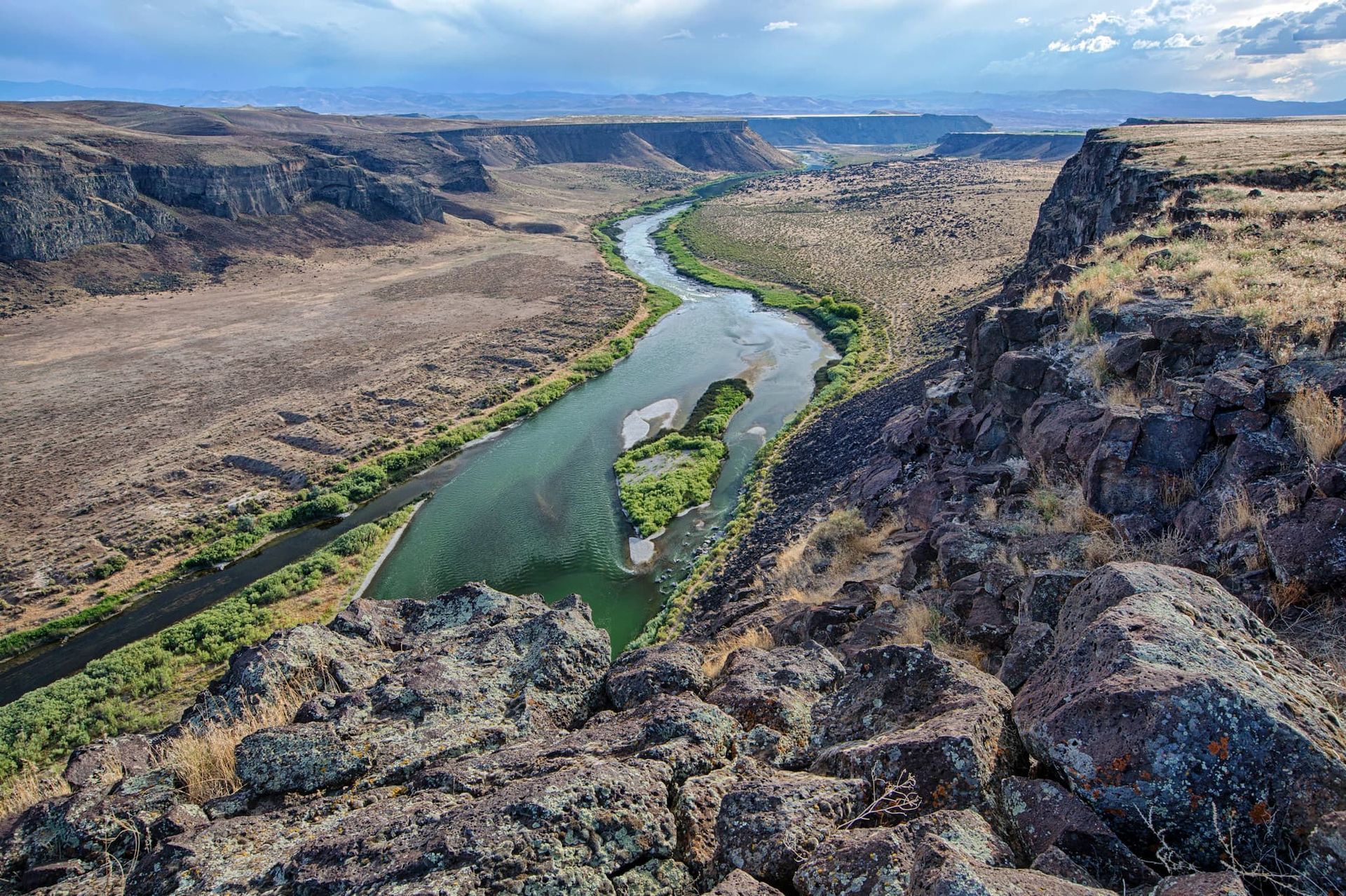Native wildlife thriving in federally protected areas, supporting ongoing efforts in wildlife conservation and environmental protection.