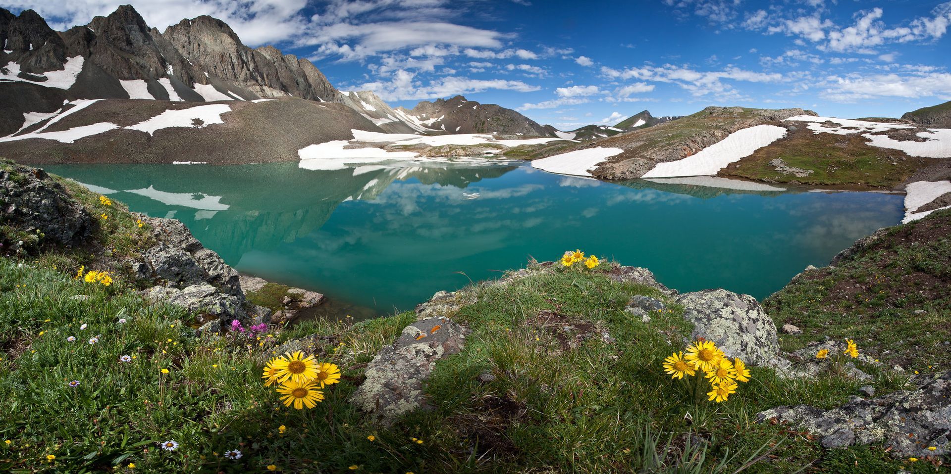 Native wildlife thriving in federally protected areas, supporting ongoing efforts in wildlife conservation and environmental protection.
