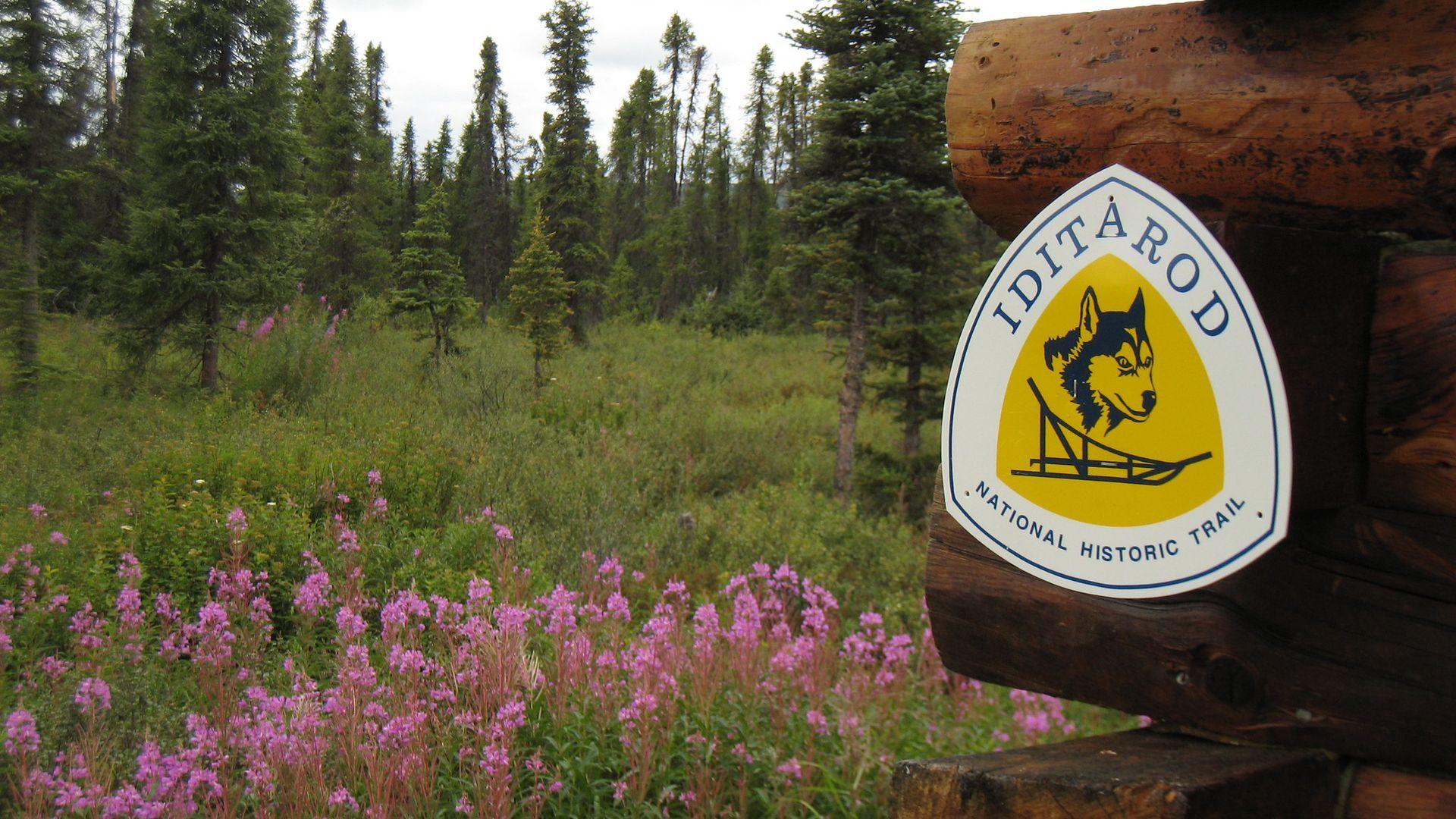 Native wildlife thriving in federally protected areas, supporting ongoing efforts in wildlife conservation and environmental protection.