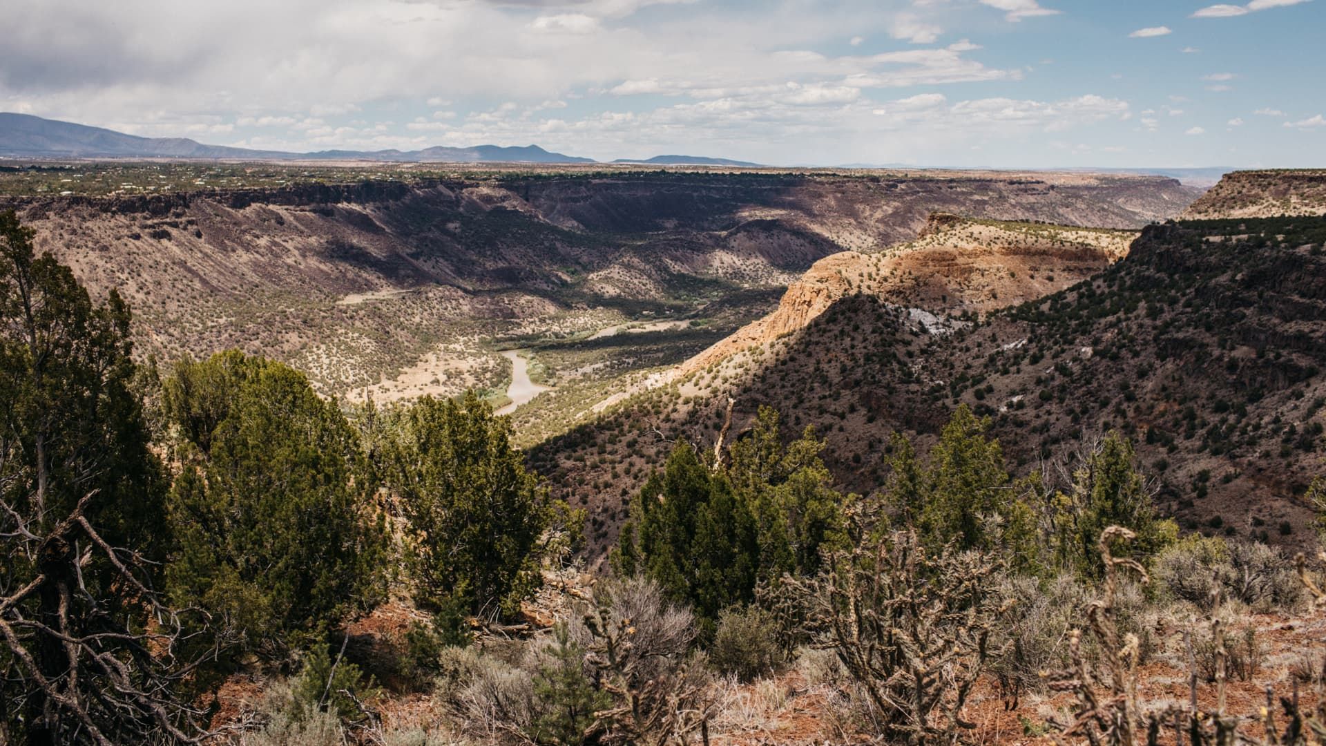 Desert landscape