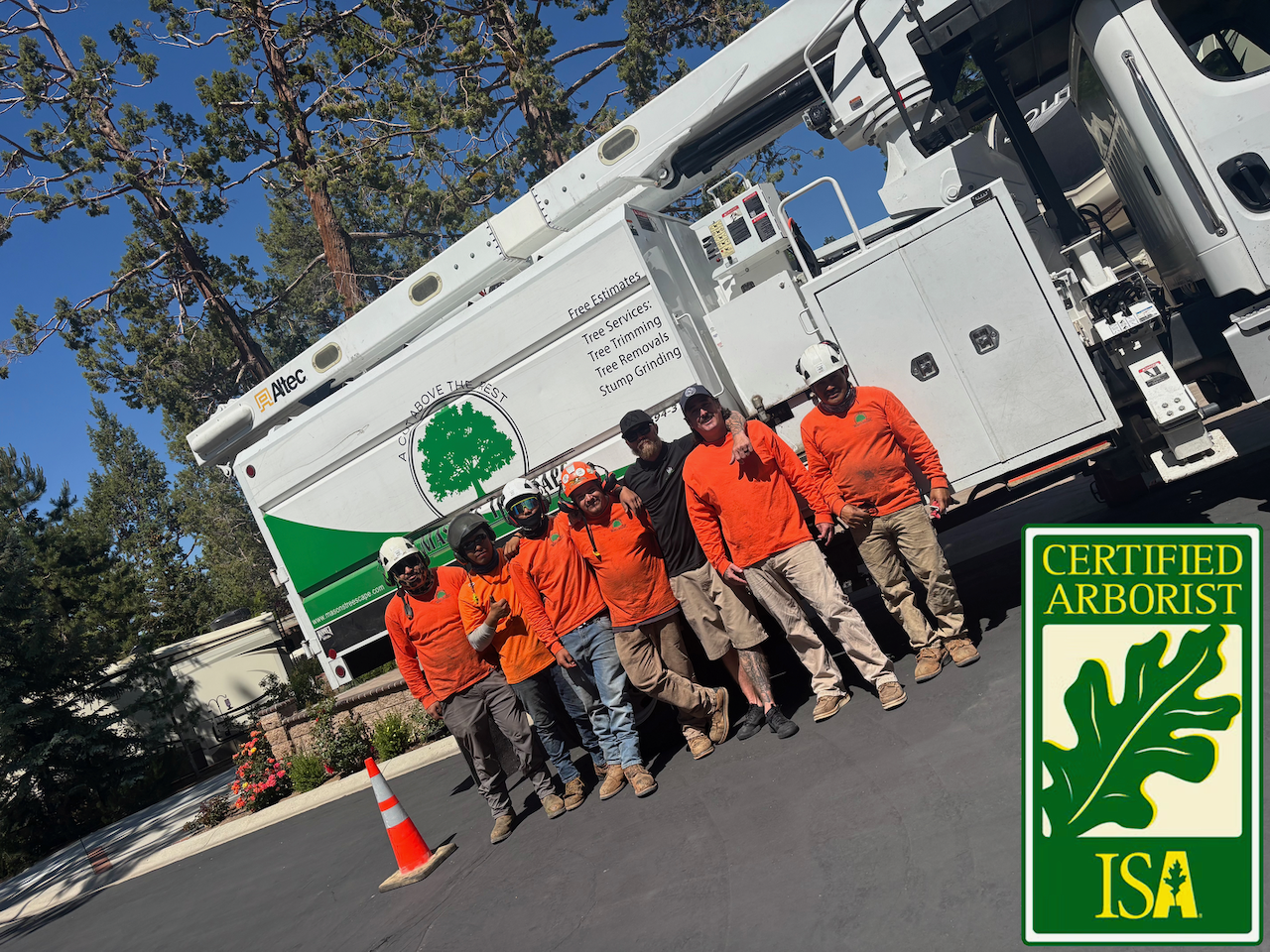Crew from Big Bear Lake Tree Service standing together after completing a tree removal job.