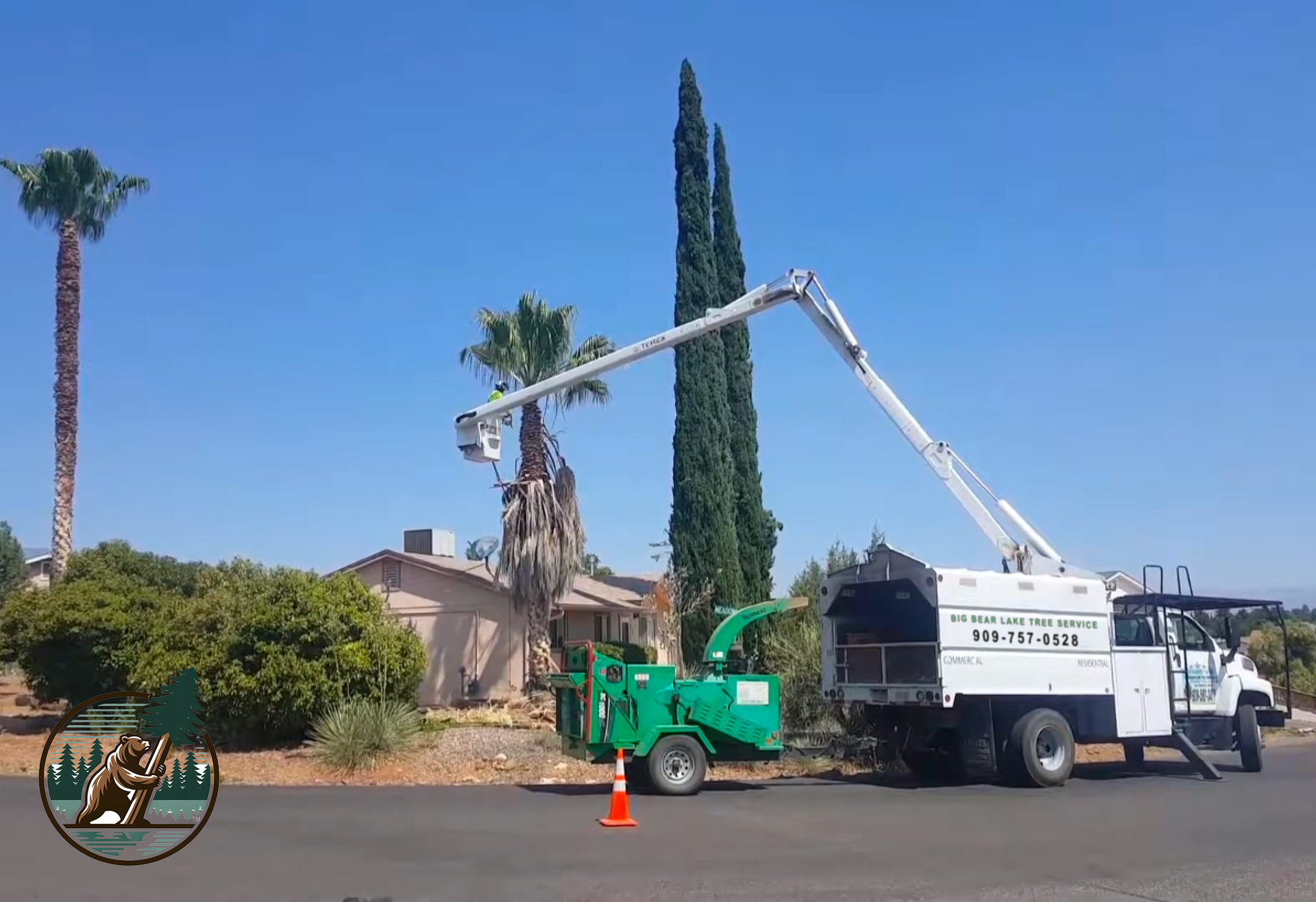 a-big-bear-lake-tree-service-arborist-trimming-a-palm-tree-in-apple-valley-ca-from-an-aerial-bucket-truck.