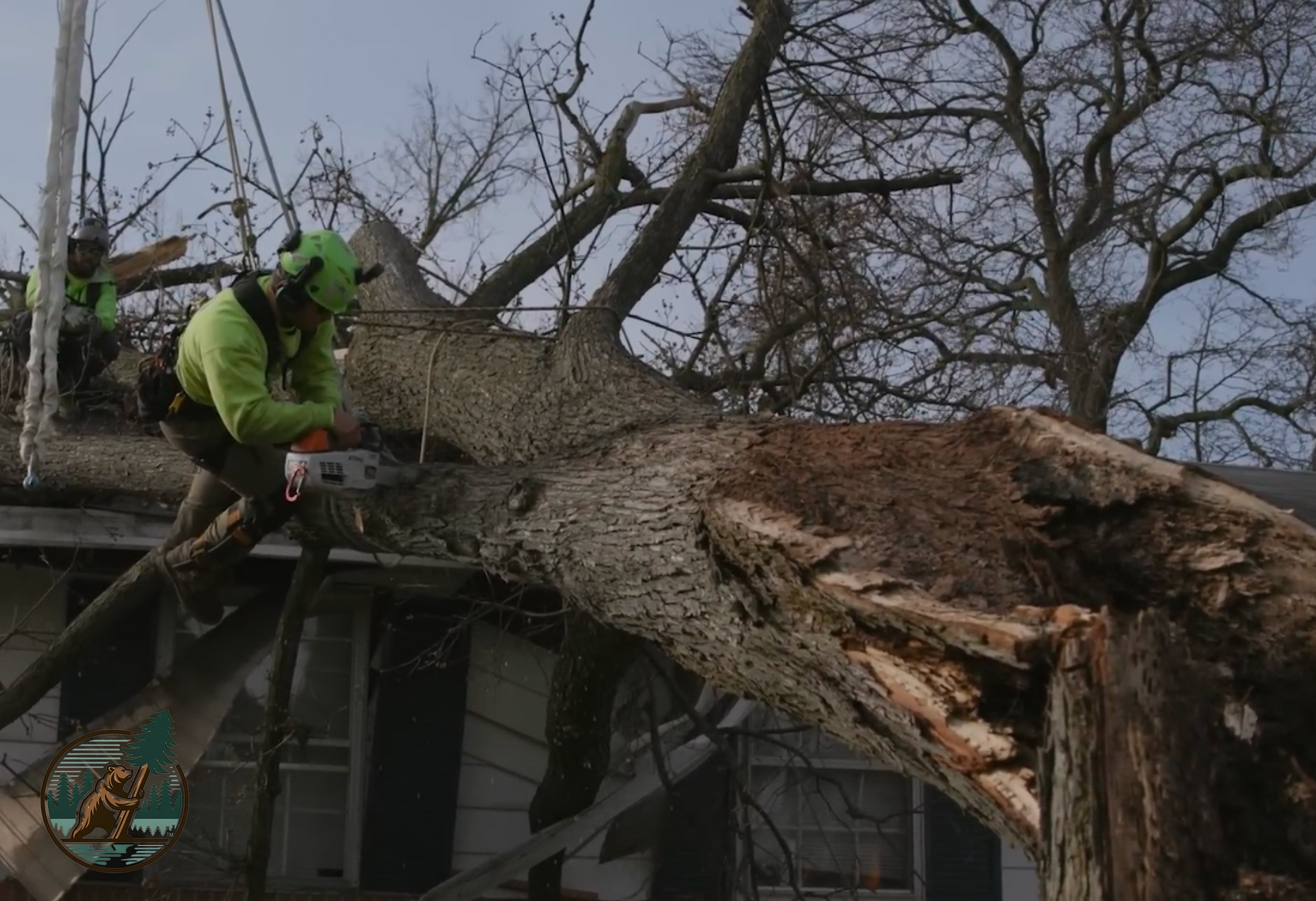 Arborists trimming a tree that fell on a resident's home in Big Bear Lake, CA.