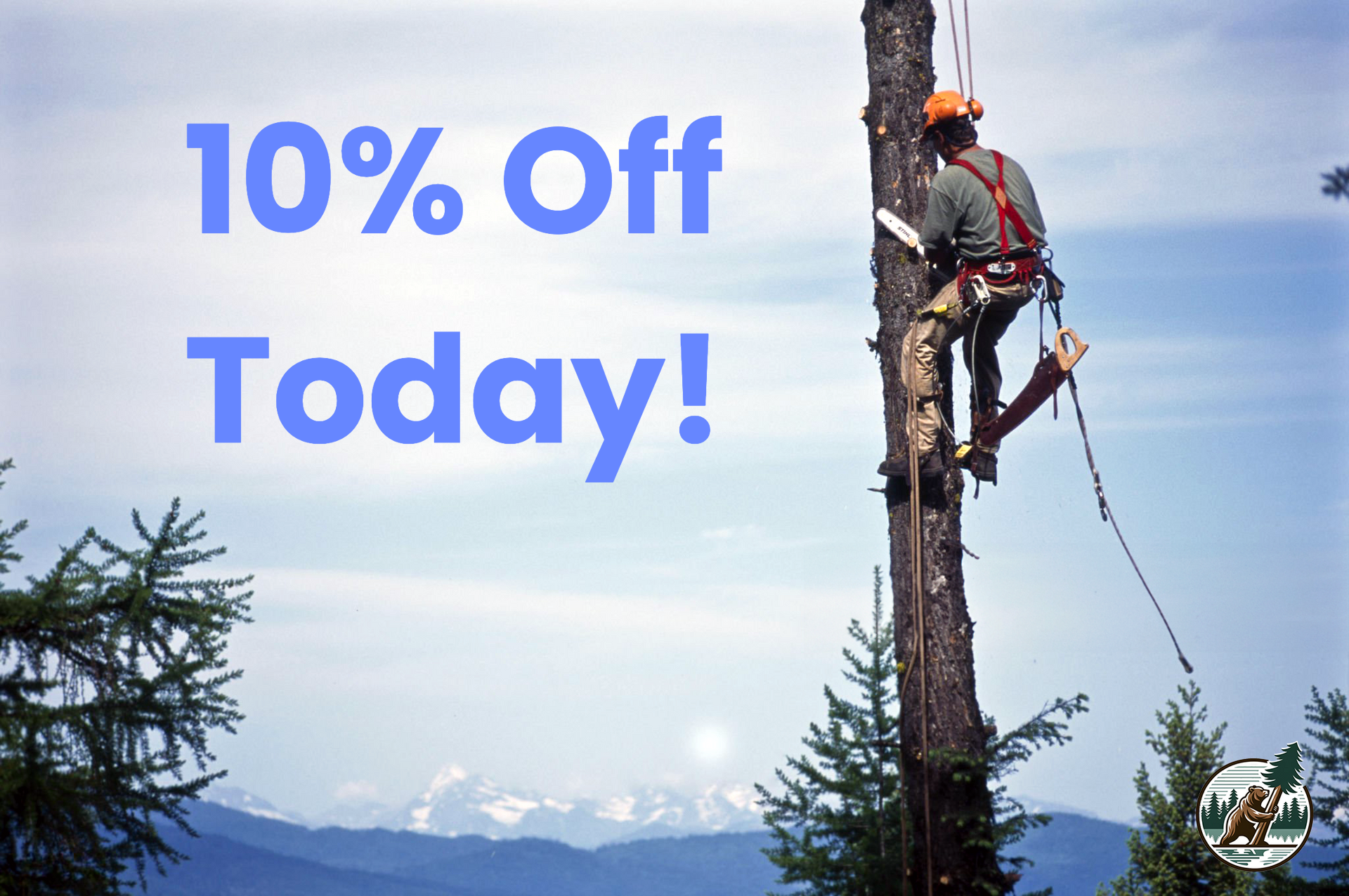 Licensed Tree Service Company Licensed tree trimmer climbing a pine tree with Snow Summit ski slopes visible in the background in Big Bear Lake, California.