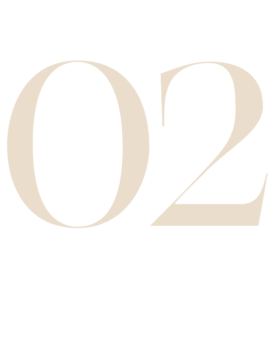 Tan numerals “02” against a white background.