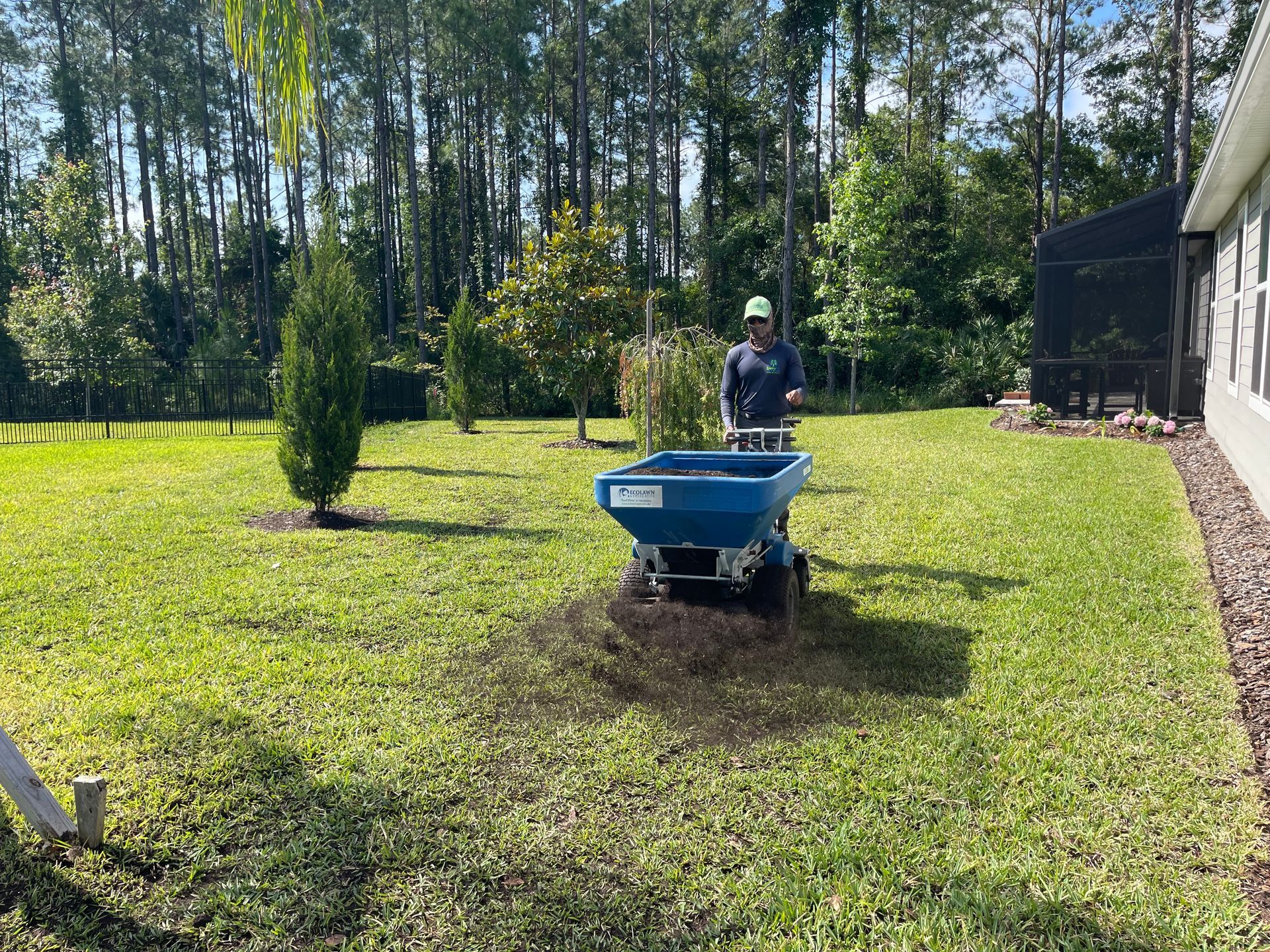 before and after lawn