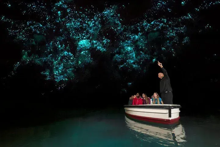 Waitomo Glowworm Caves Guide: Experience the Magic in 2026