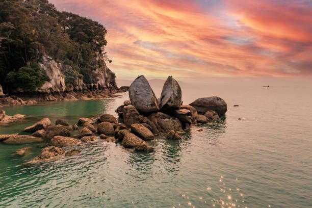 Tasman