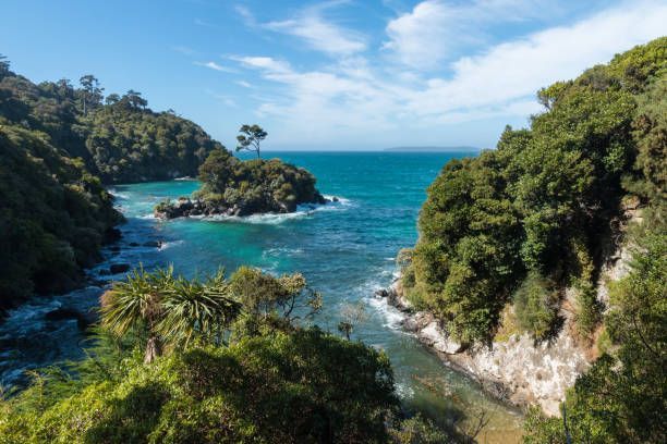 Stewart Island