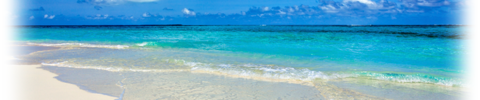 West Palm Beach Ocean View