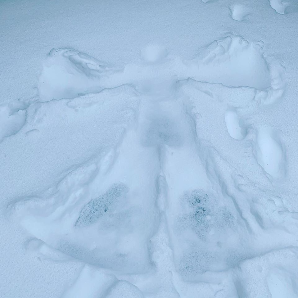 A person has made a snow angel in the snow.