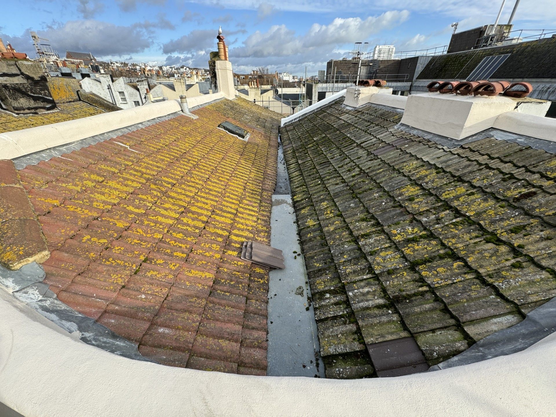 Rooftop with moss-covered red and dark gray tiles, chimneys, and a cloudy sky beyond.
