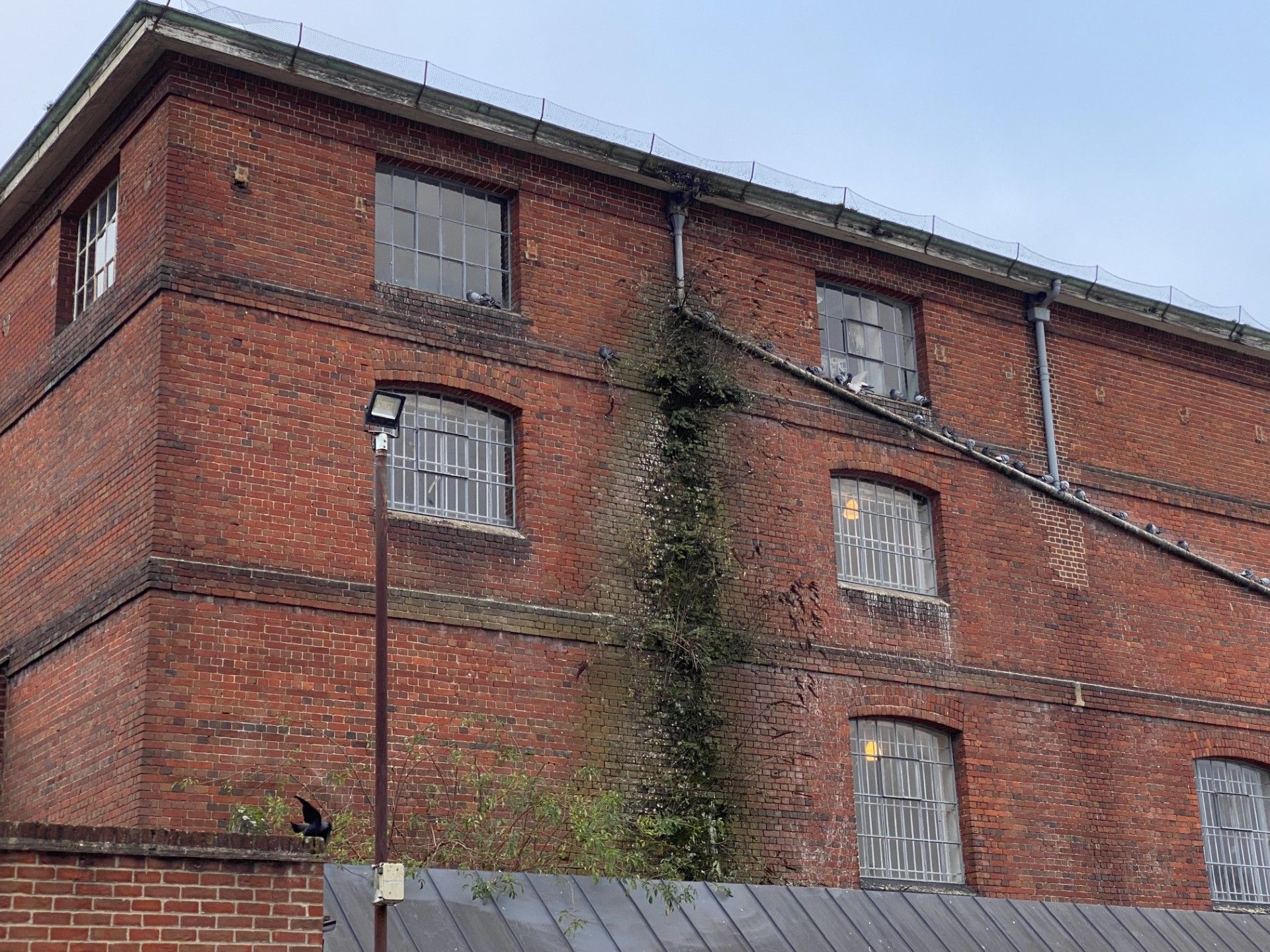 Old red brick industrial building with boarded windows and overgrown vines