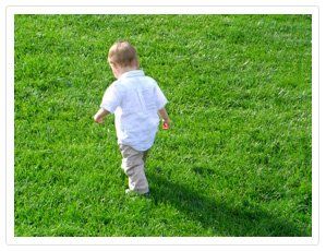 HealthySoil | Agriculture | Plant Nutrients | Farming Equipment