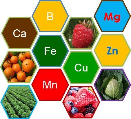 HealthySoil | Agriculture | Plant Nutrients | Farming Equipment