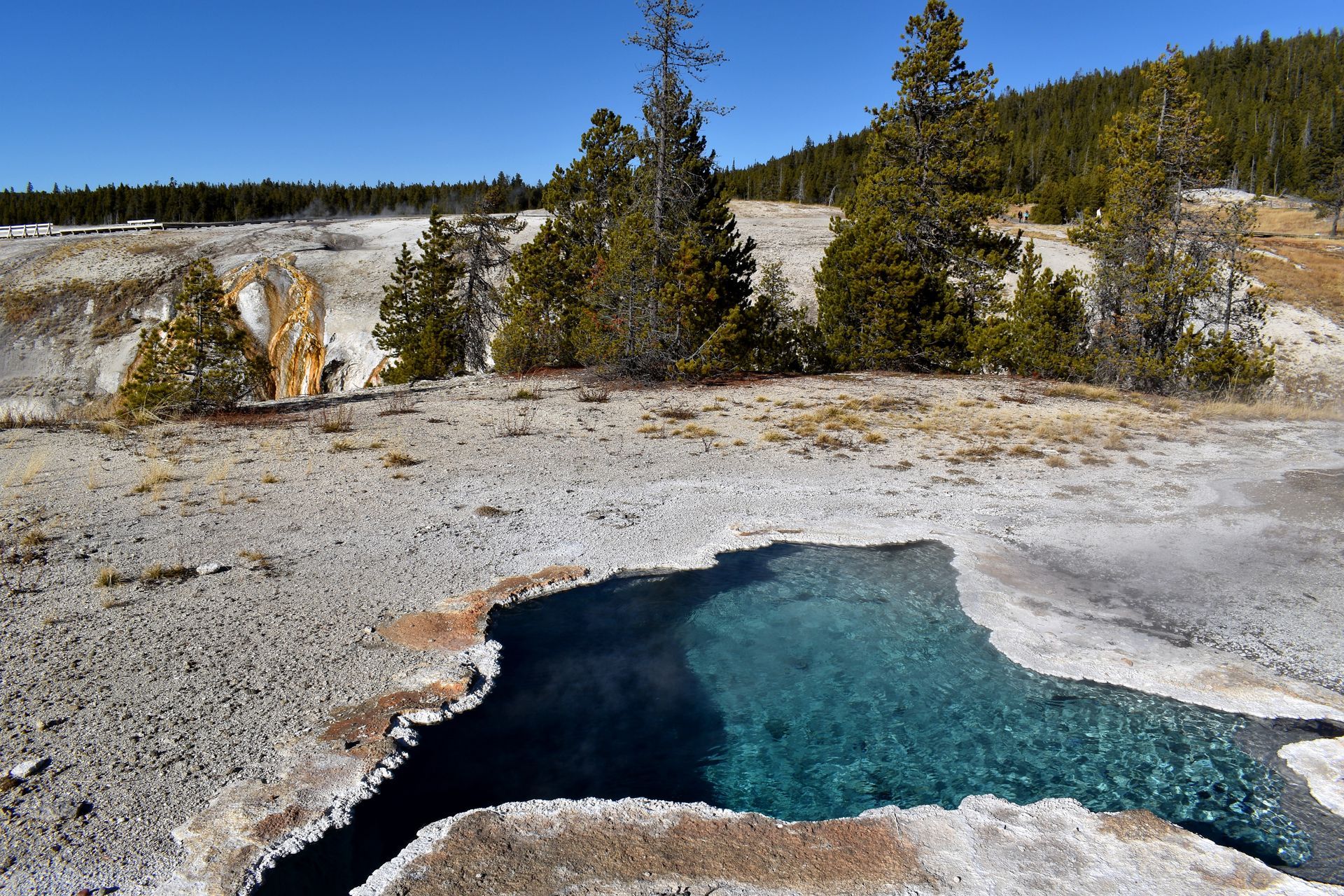 Blue Star Spring