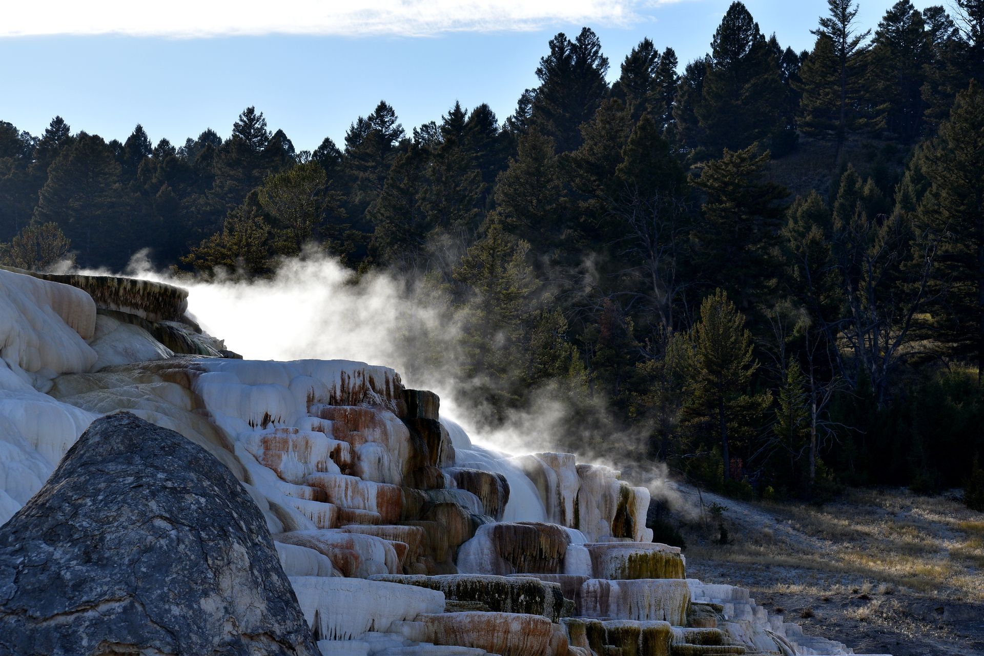 Terraces at Mammoth Hot Springs