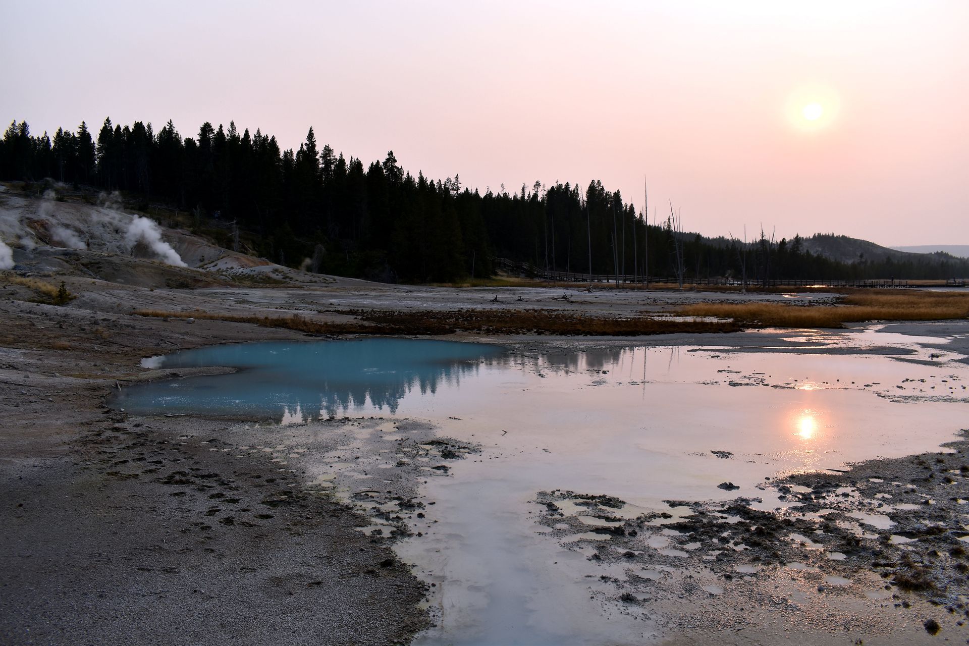 Sunset at Norris Geyser Basin