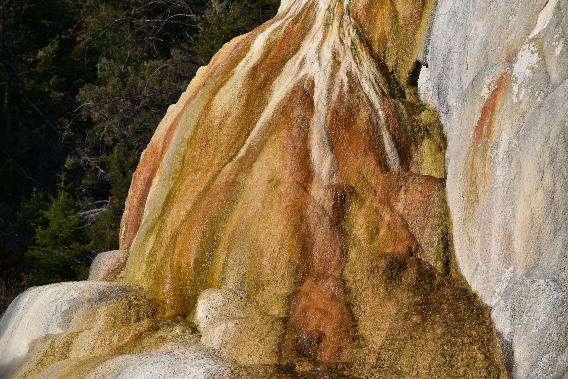 Travertine