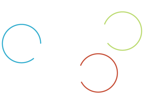 Conversion, loyalty, and advocacy.