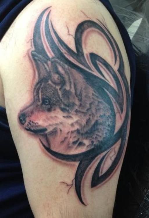 Tattoo on upper arm of a wolf in a tribal design; shades of gray and black.