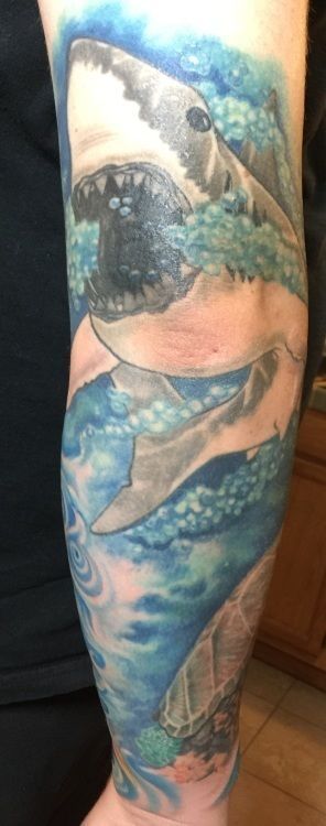 Tattoo of a great white shark breaching the ocean's surface on a person's forearm.