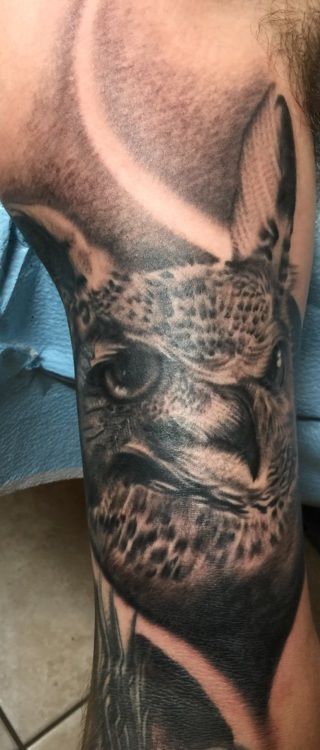 Tattoo of an owl's face on a person's arm. Black and gray shading with detailed feathers and piercing eye.