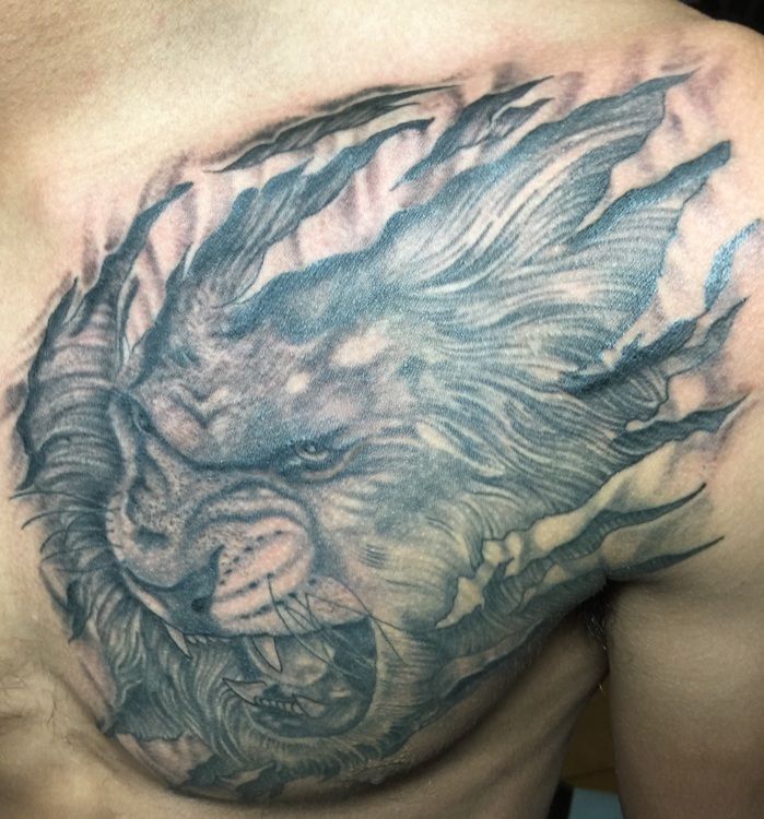 Lion tattoo on a person's chest. Gray shading depicts a roaring lion breaking through skin.
