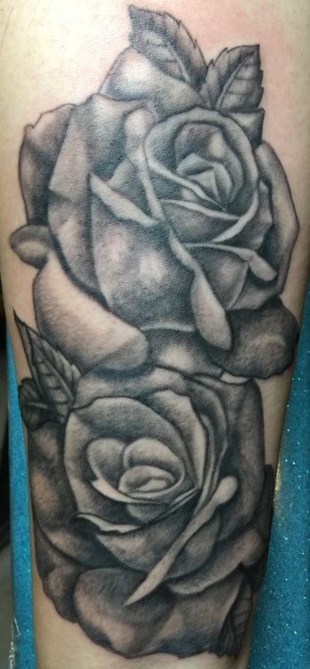 Black and gray rose tattoo on an arm, with two fully bloomed roses and leaves.