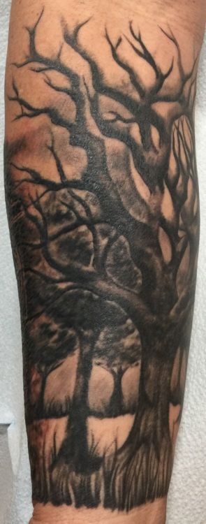Black and gray tattoo of bare trees on an arm, with a forest scene in the background.