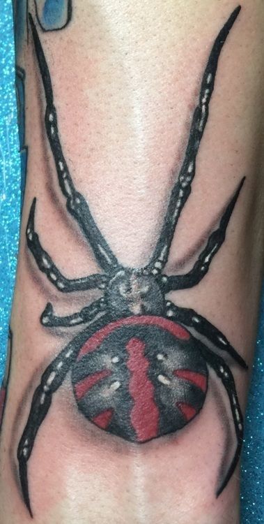 Black widow spider tattoo on skin, red hourglass marking on abdomen.