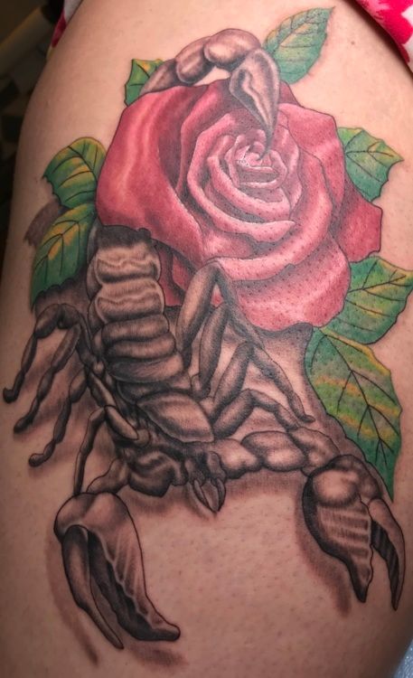 Tattoo of a scorpion and a red rose with green leaves on skin; shaded in gray, red, and green.