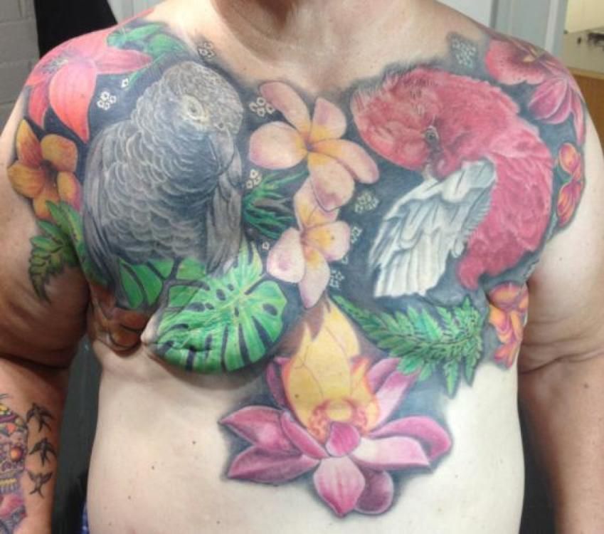 Chest tattoo featuring a gray parrot, red flowers, white feathers, and tropical foliage.