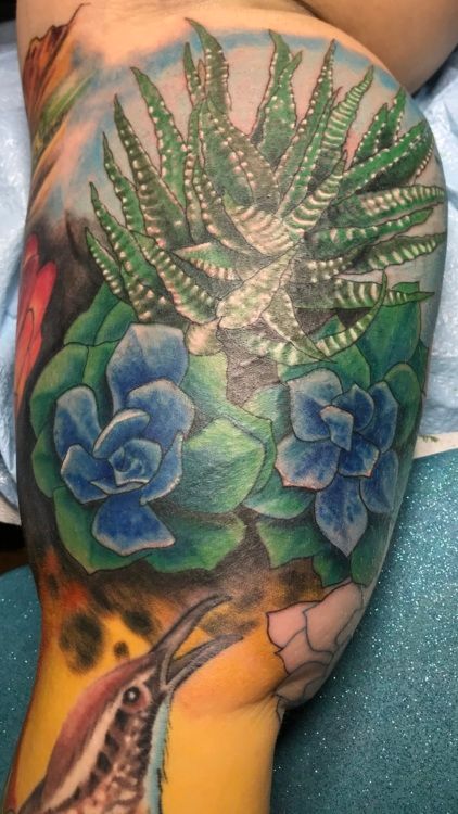 Tattoo of succulents in shades of green and blue on an arm. Background has hints of other colors and details.