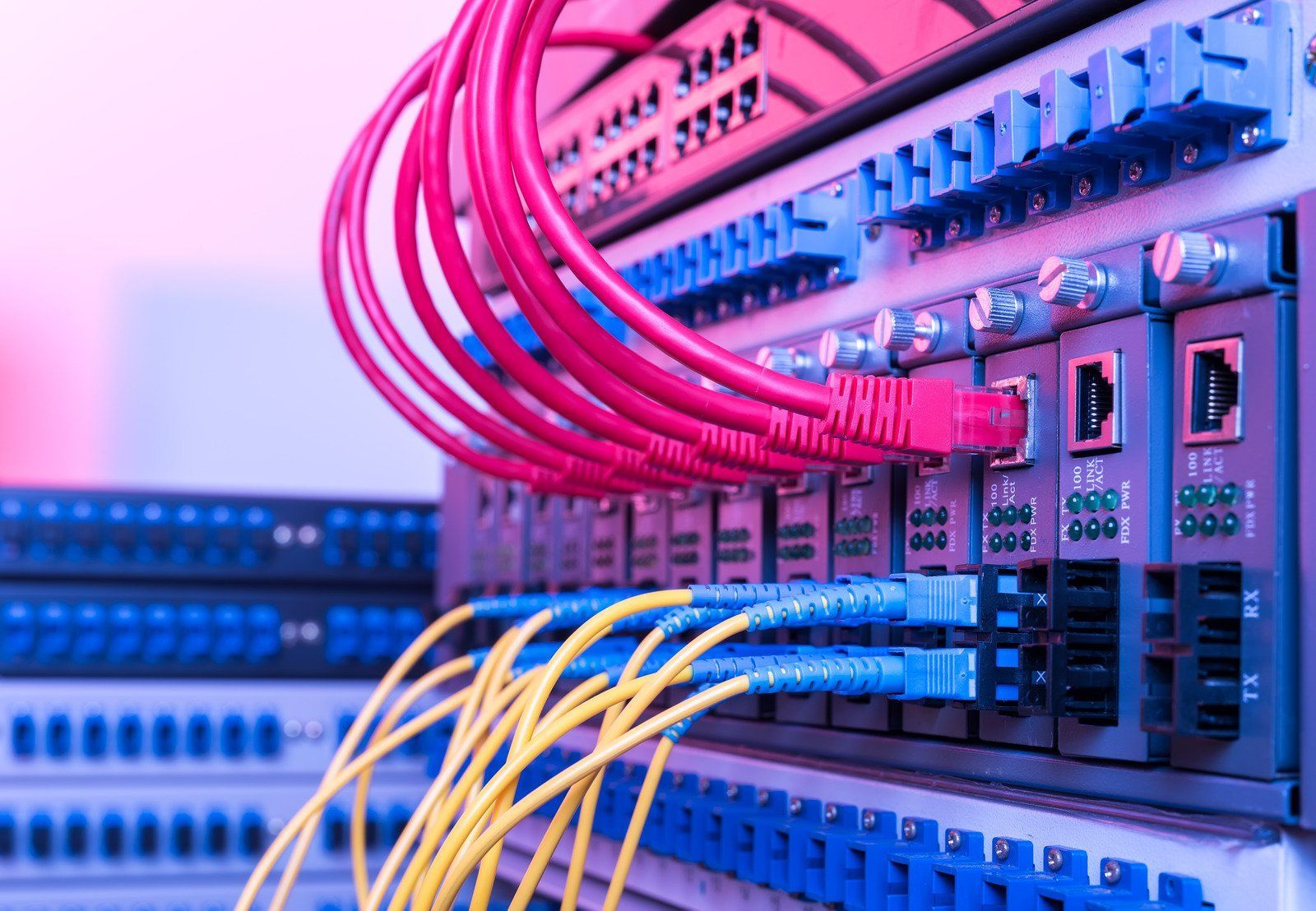 Network server with red and yellow cables plugged in, blue ports, rack-mounted.