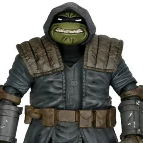 A teenage mutant ninja turtle action figure with a hood