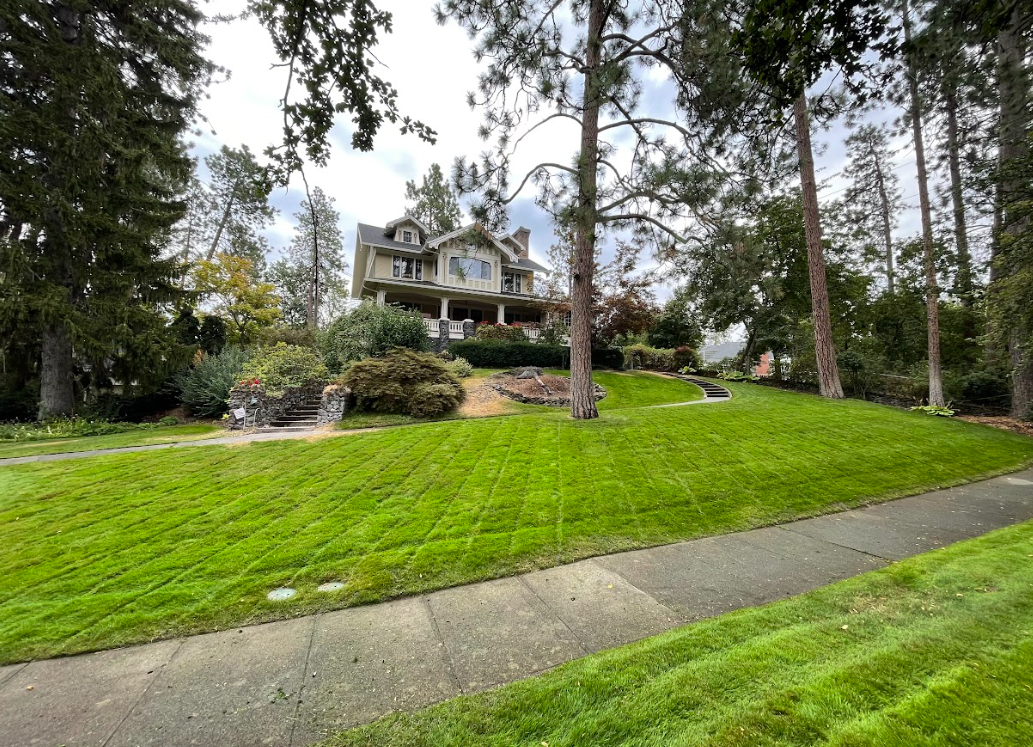 House on a grassy hill, surrounded by trees. Overcast sky.