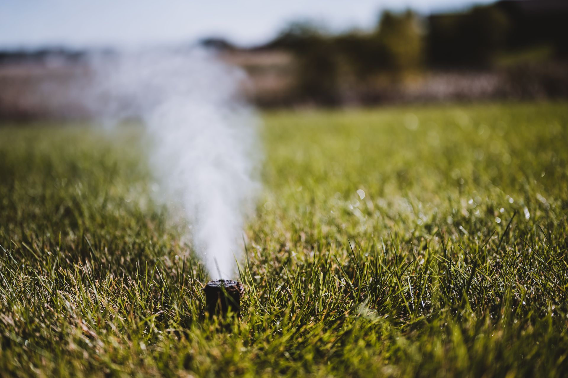 Sprinkler in green grass releasing mist into the air, outdoors.