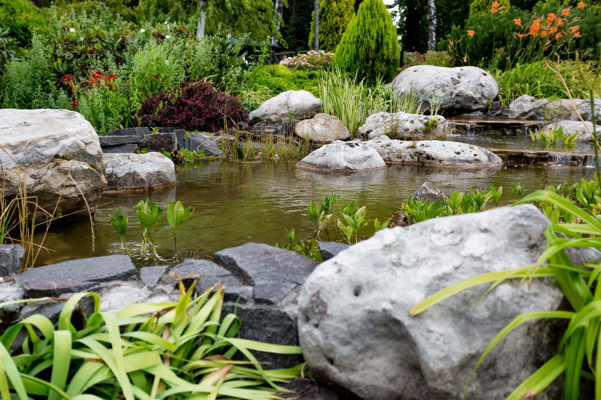 A tranquil garden pond with large grey rocks and lush green plants.