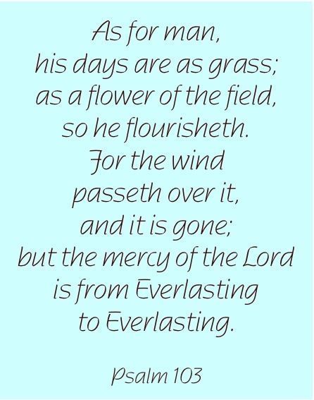 Psalm 103 verse on a light blue background in gray script text.