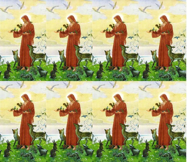 Red-robed figure holding a book, repeated in a tiled collage with white birds and green plants.
