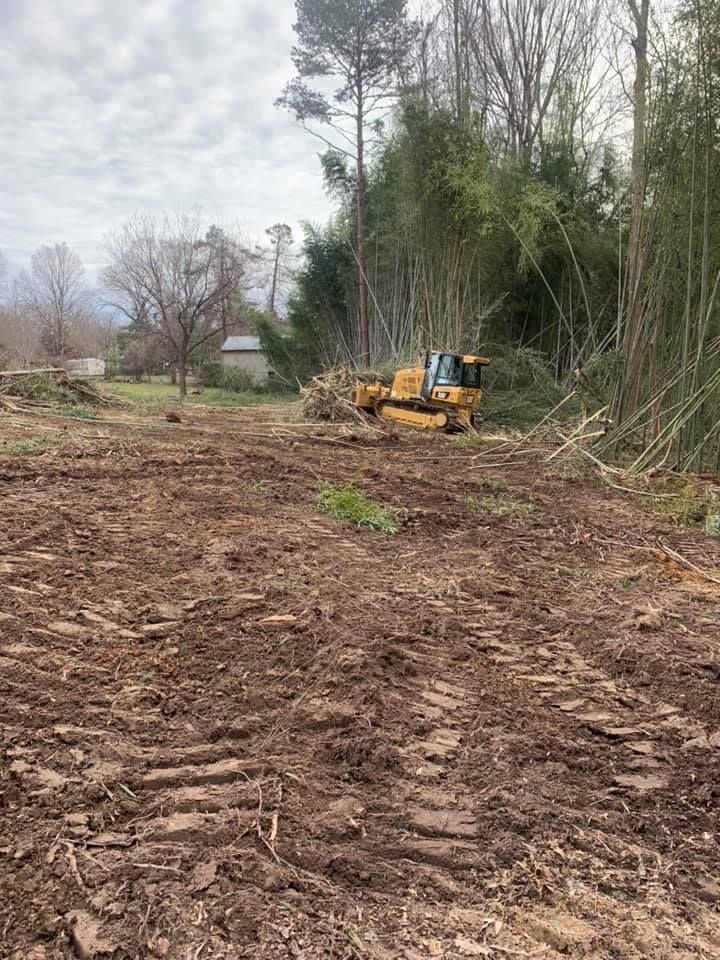 land clearing