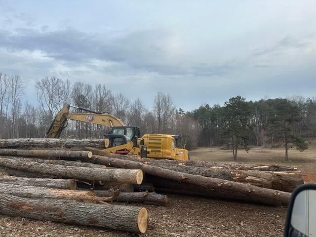 land clearing 1